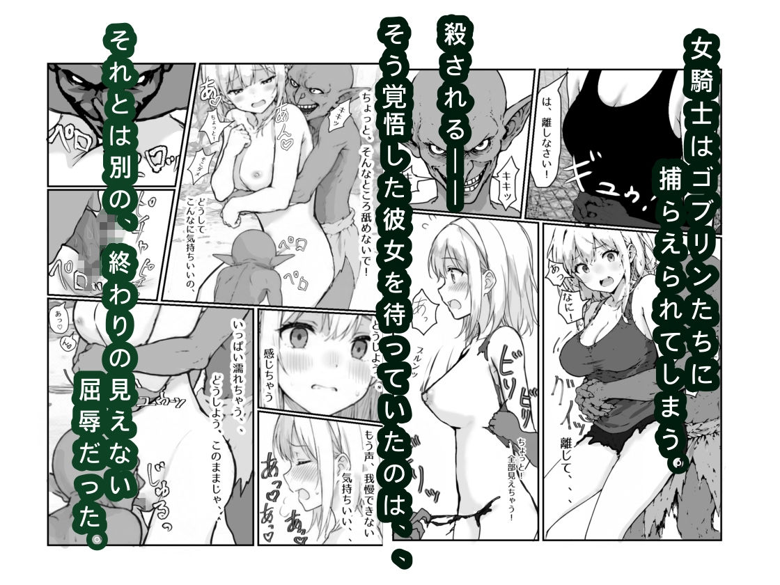 女騎士敗北録 〜ゴブリンの森〜  1 サンプル画像3