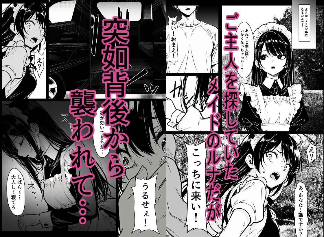 監禁メイド サンプル画像1