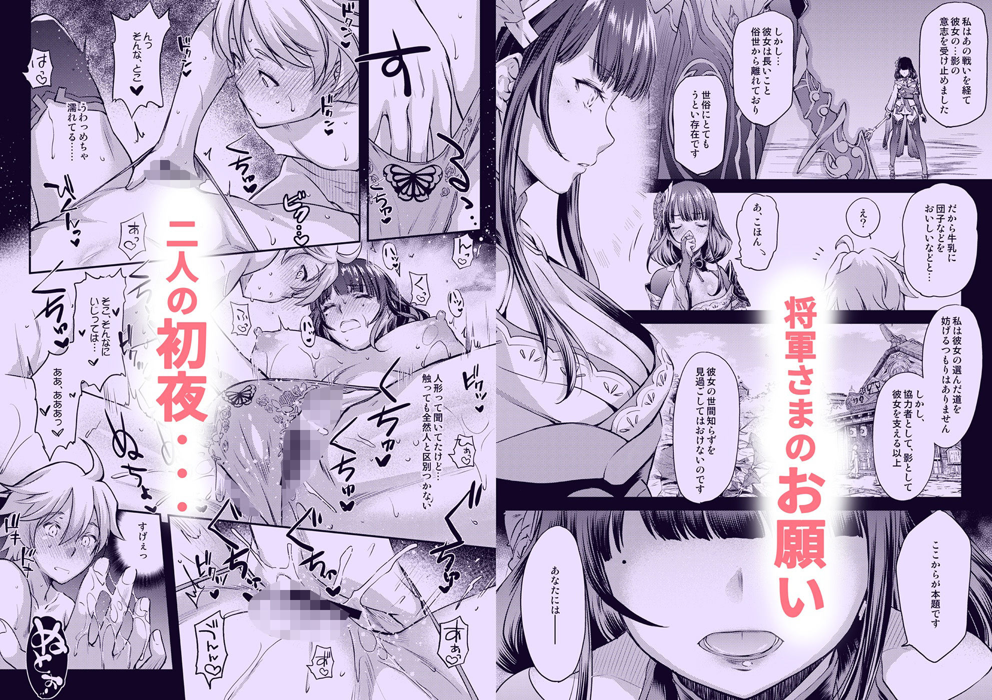 紫電双鳴 サンプル画像1
