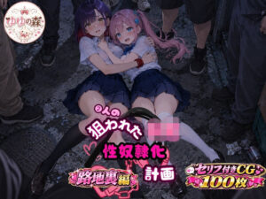 2人の狙われたJK 性奴●化計画【路地裏編】（ももか・せな）