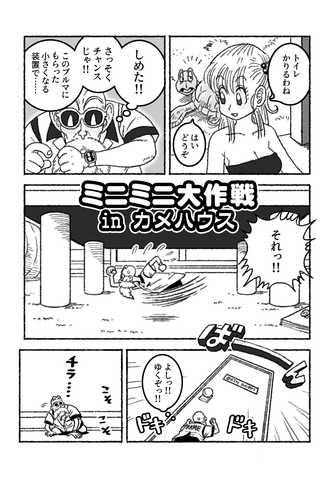 ミニミニ大作戦 in カメハウス サンプル画像1