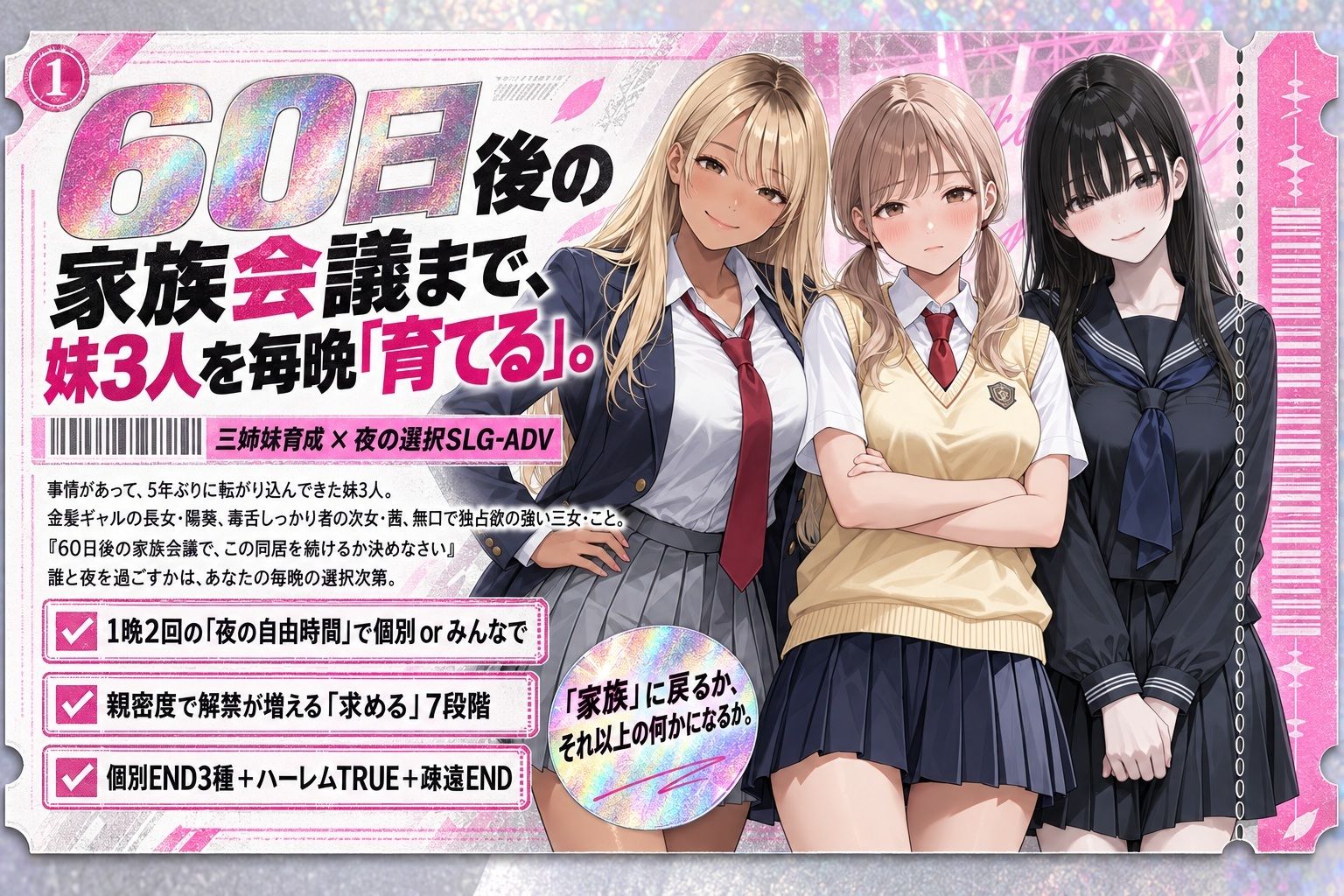 妹コレクション サンプル画像1