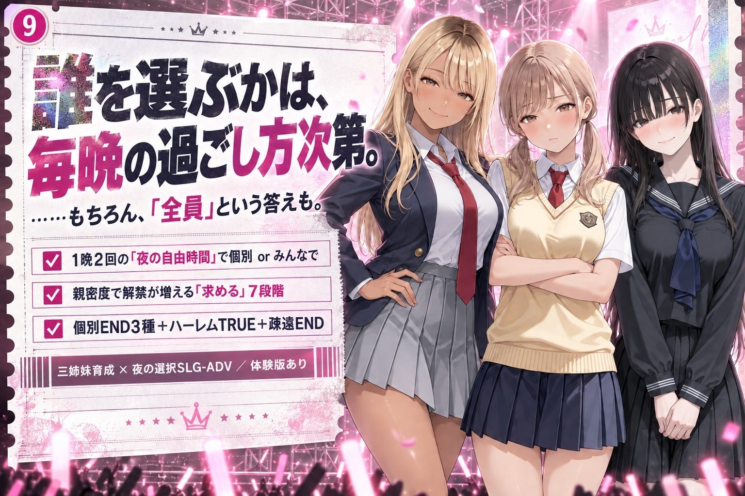 妹コレクション サンプル画像9