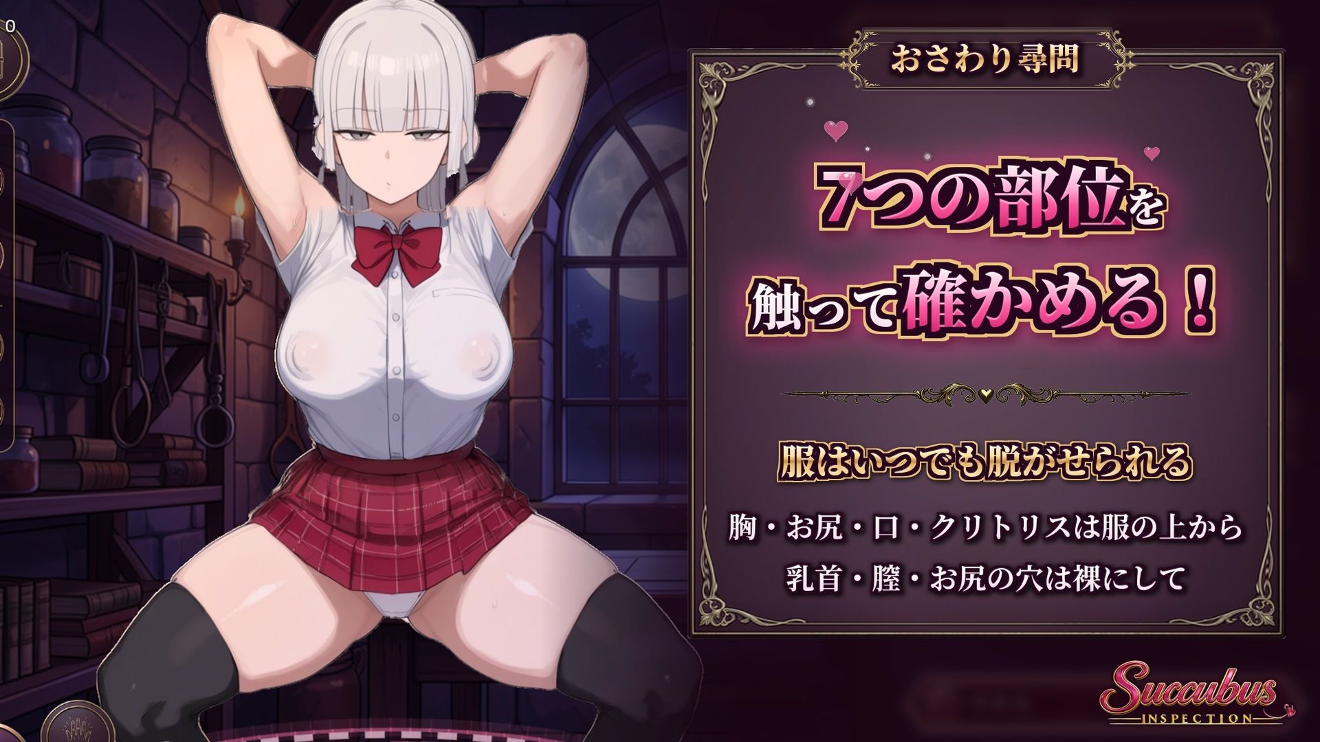 Succubus Inspection サンプル画像2