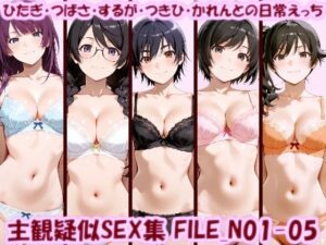 主観疑似SEX集 FILE_N01-05 ひたぎ・つばさ・するが・つきひ・かれんとの日常えっち