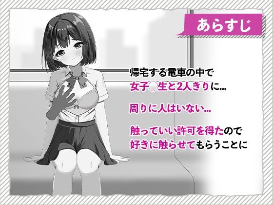快感痴◯おさわり電車 サンプル画像2